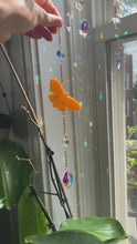 Load and play video in Gallery viewer, Butterfly Sun Catcher - Translucent Sherbet -2 Variants!
